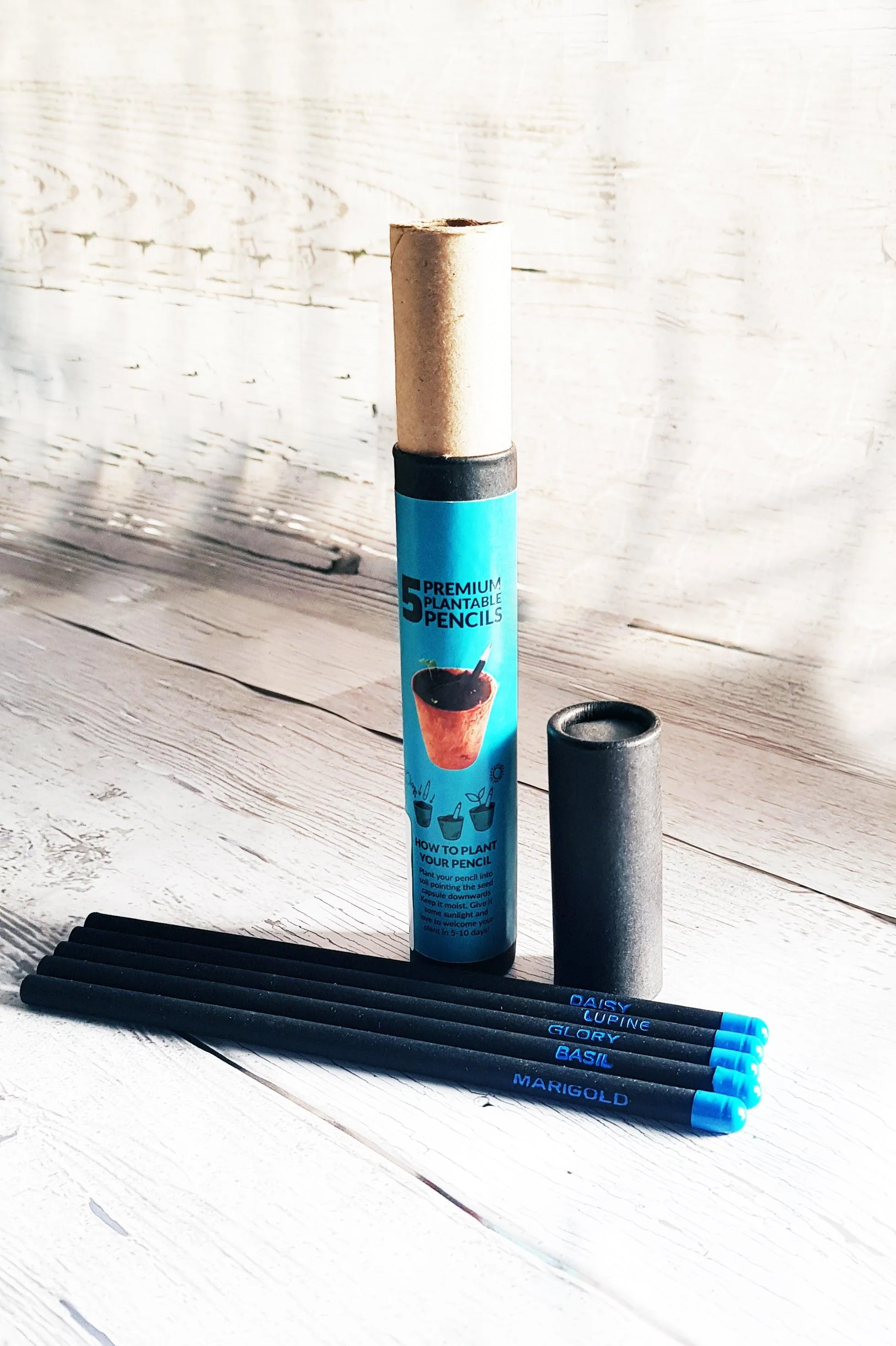 5 Plantable Pencils