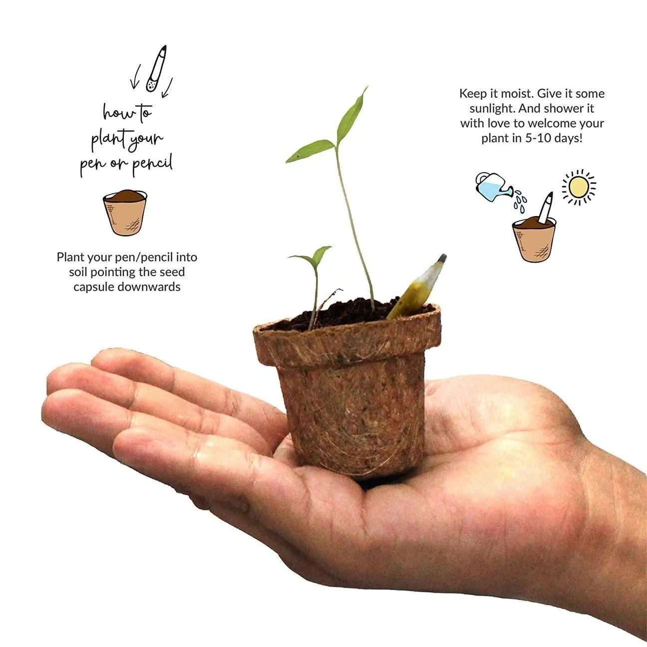 5 Plantable Pencils