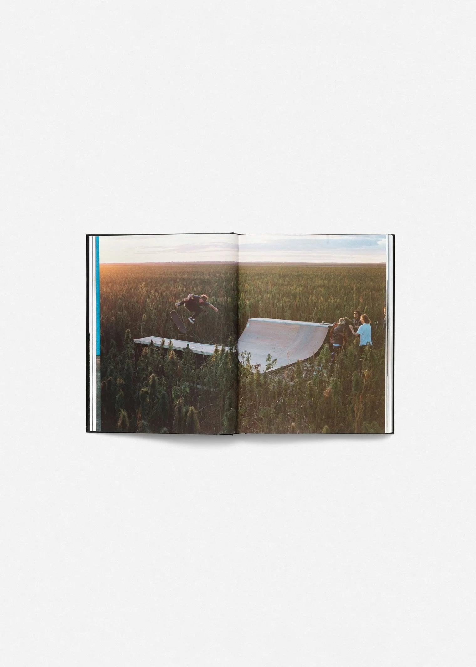 Afends Unisex 10 Year Book
