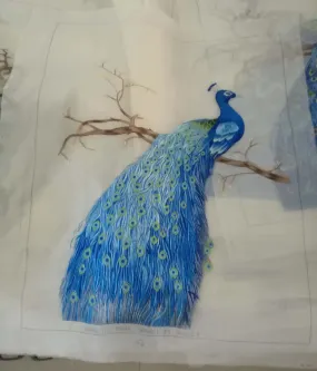 Declicate fashion Hand embroideried Suzhou Embroidery Art:blue peacock