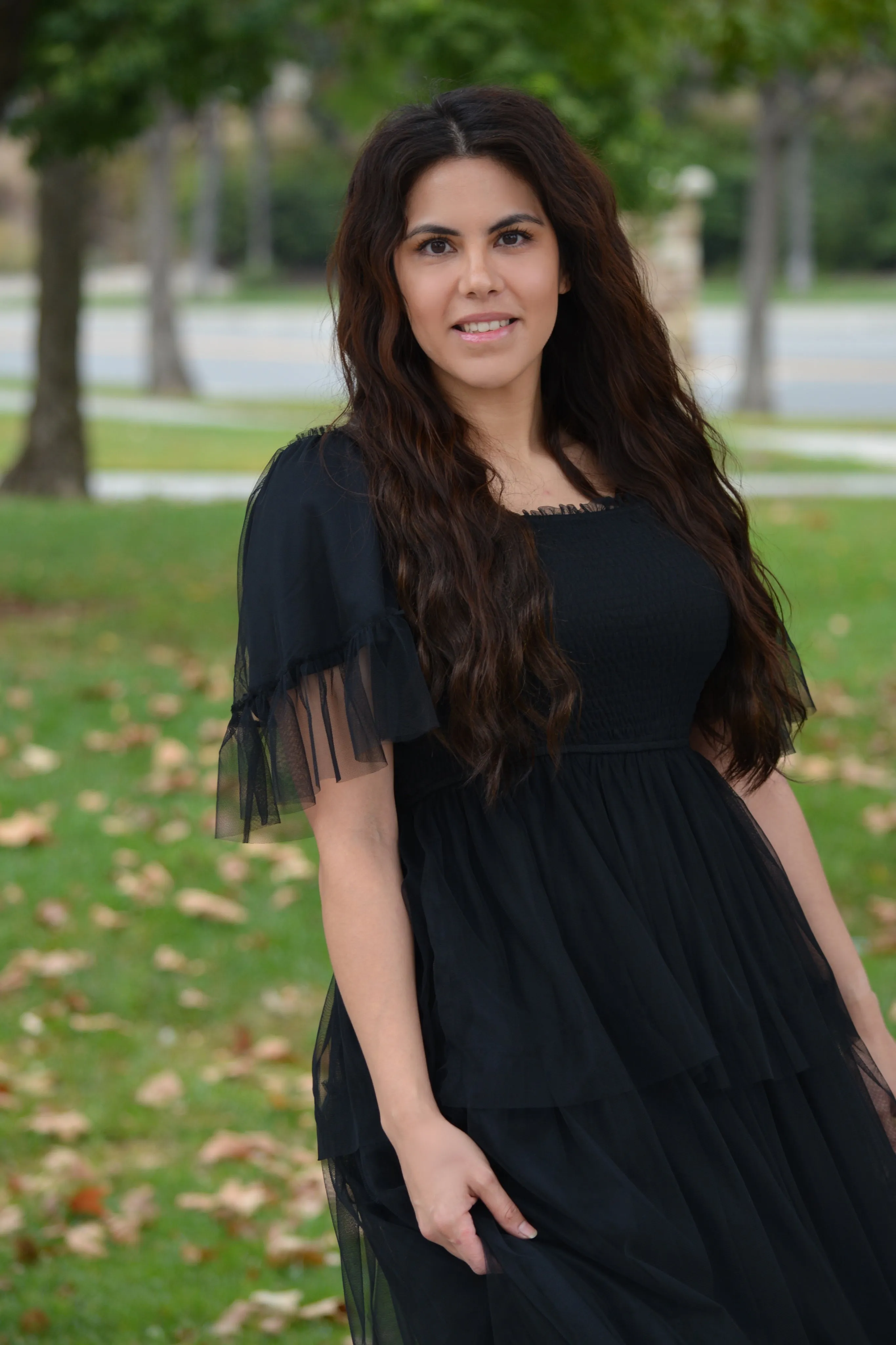 Novalee Black Ruffled Tulle Dress